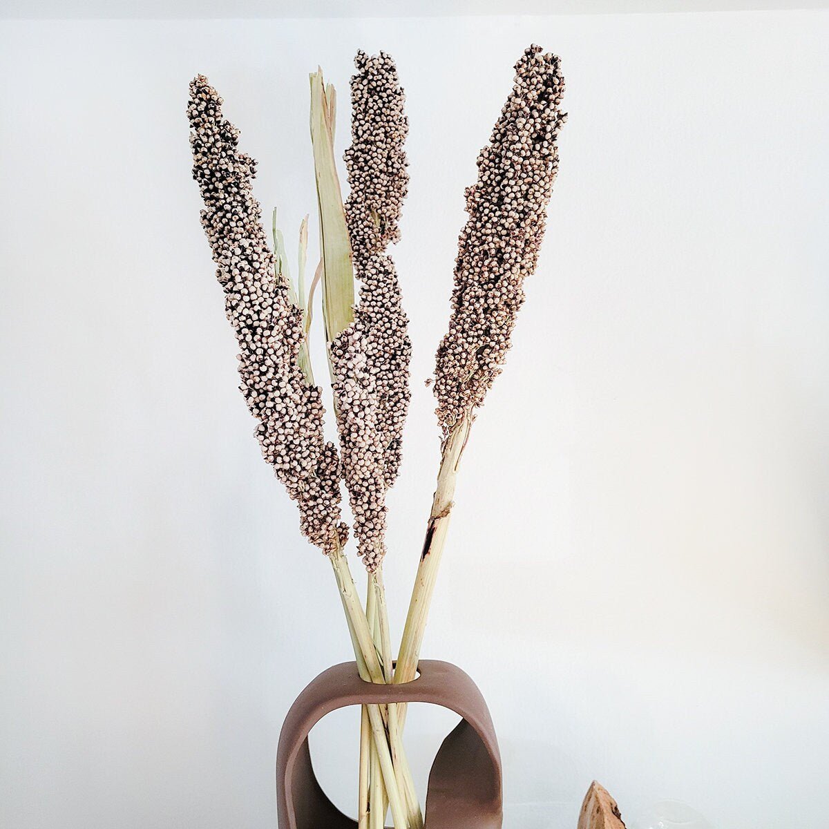 Dried Tall Pinto Berries Stems - Mossy Moss by Olia