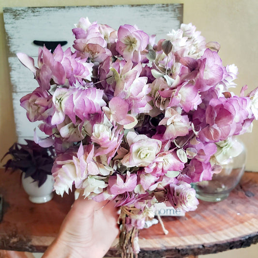 Dried Kent Beauty Oregano