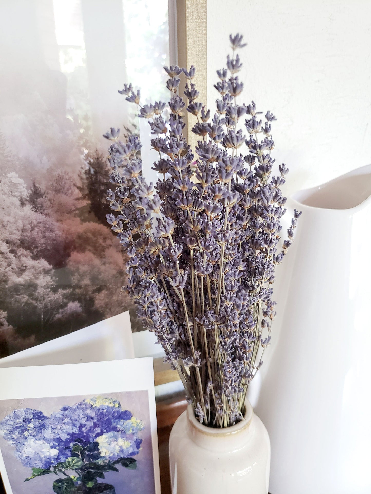 Dried French Lavender Bundle