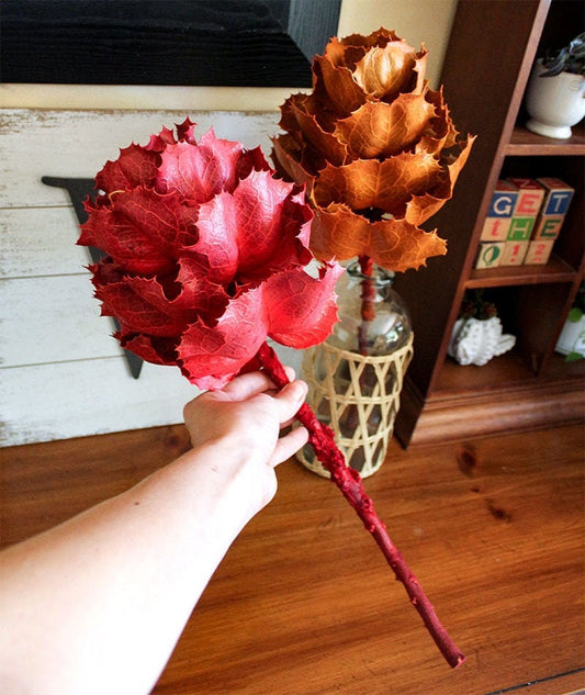 Dried KING Protea Flower