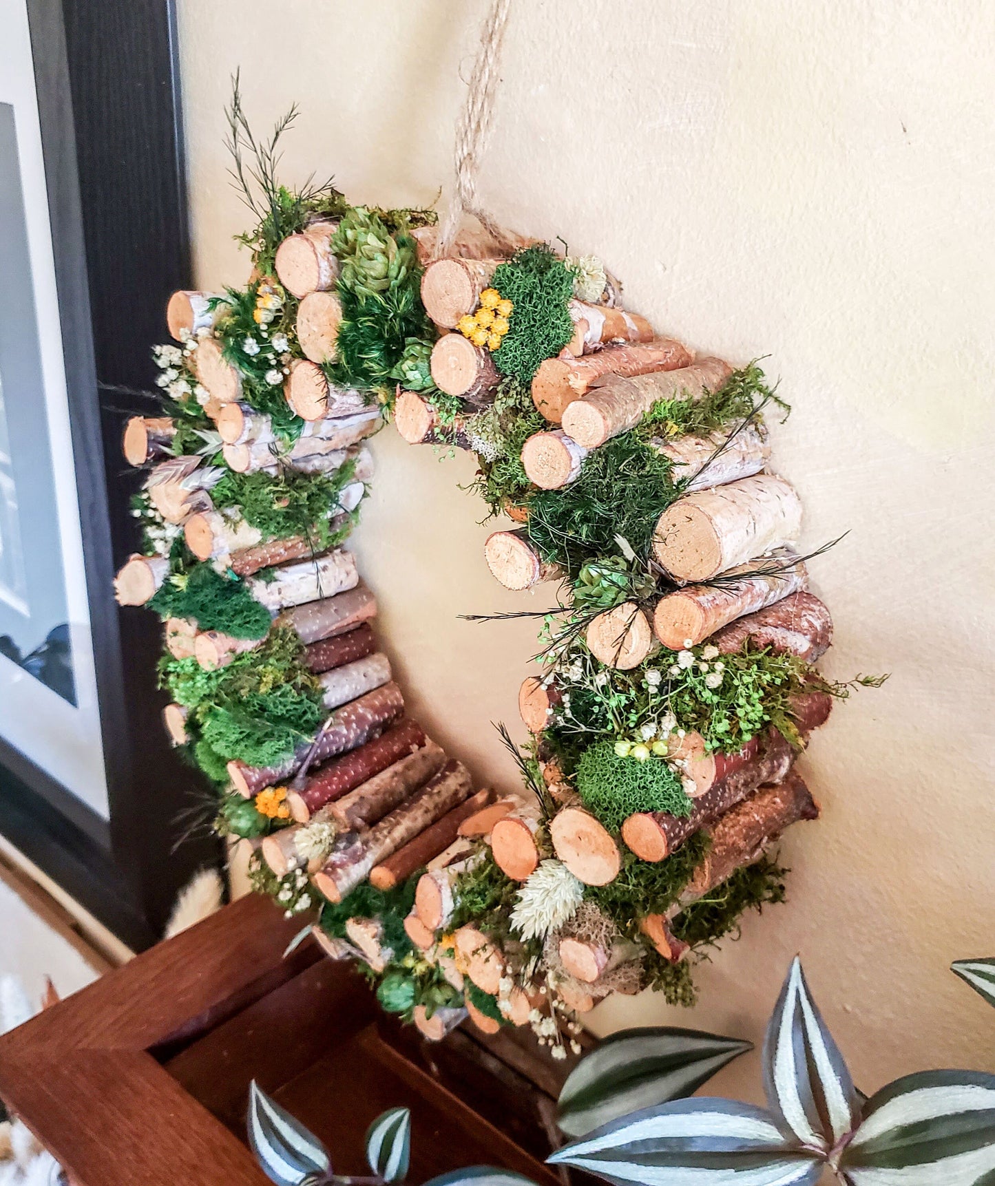 MOSS & BIRCH WREATH for Front Door or Wall Art Decor | Christmas Wreath | Moss Wall | Fresh Wreath | Fall Natural Wreath | Wooden Wreaths