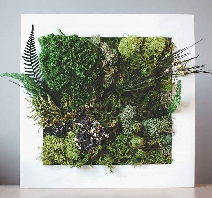 DIY Preserved Moss Kit – Mossy Moss by Olia