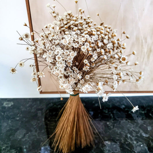 White Dried Star Flowers