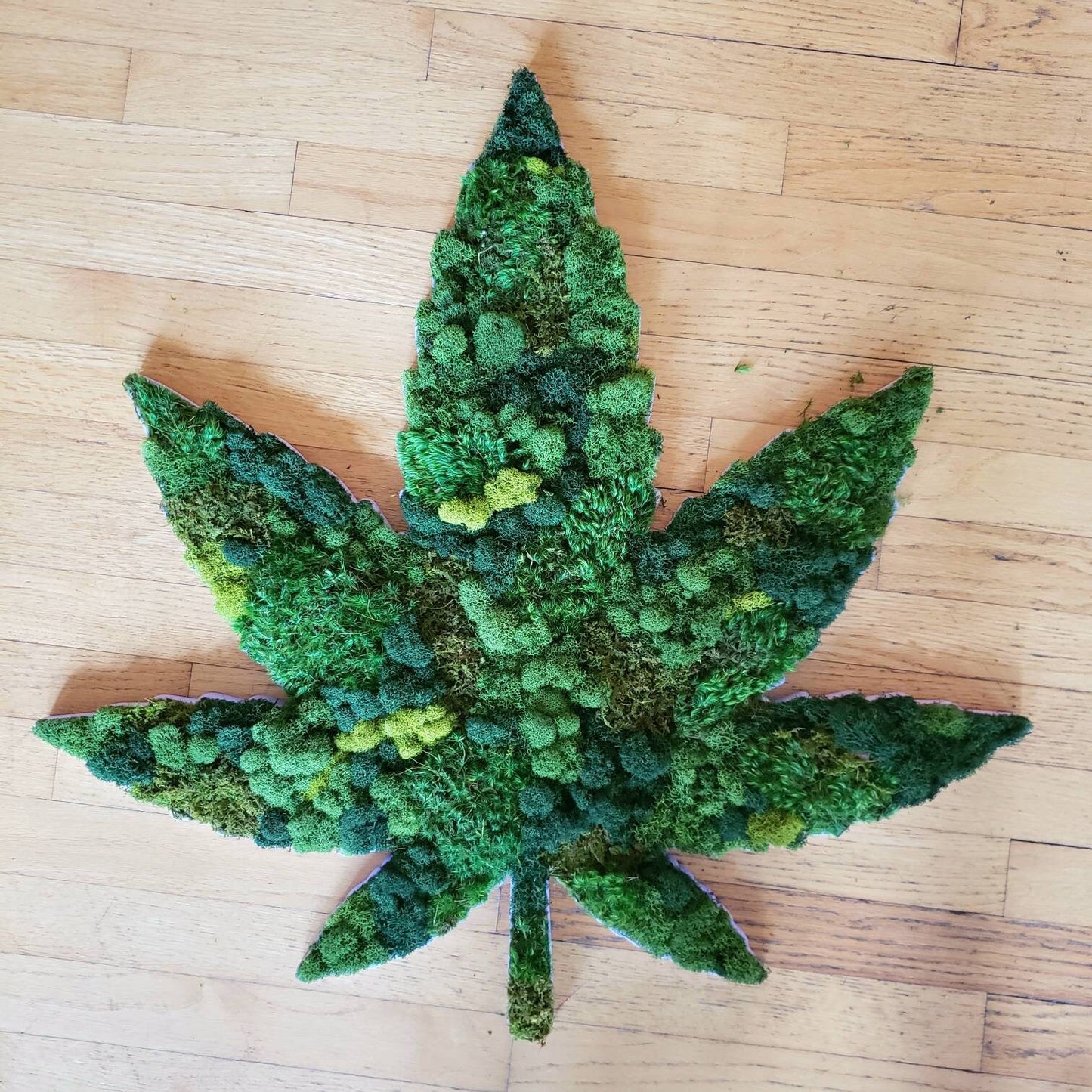 Preserved Moss Weed Leaf Dispensary Decor