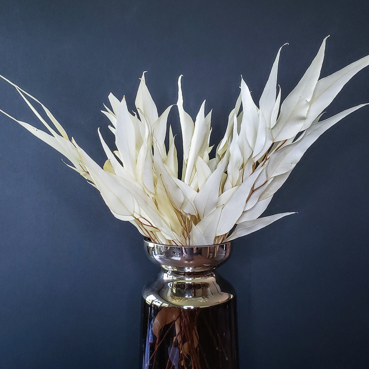 Preserved Eucalyptus Willow |  Dried Flowers | Bleached Feather Eucalyptus | White Dried Flowers | Long lasting Flowers | Dry Florals