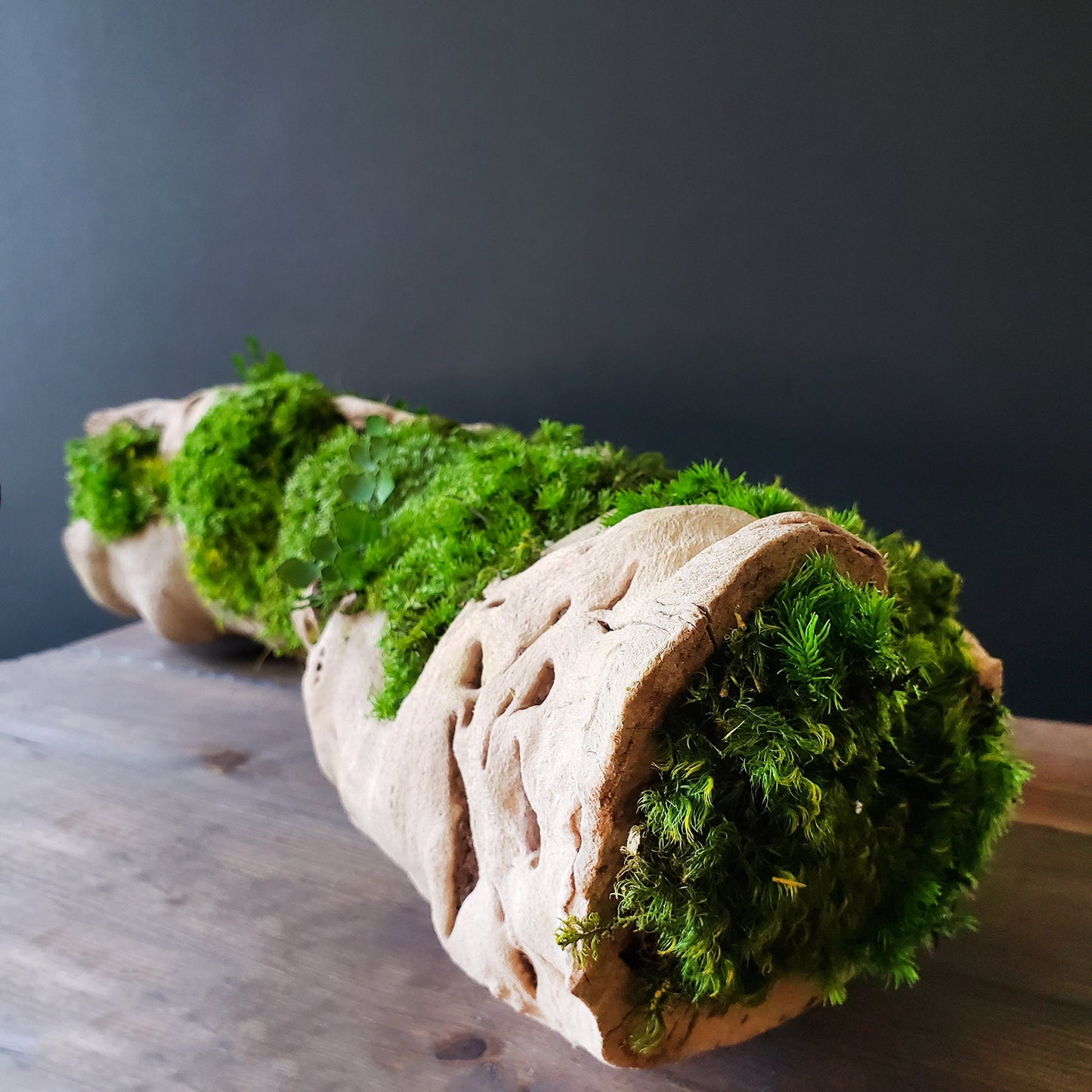 Grapewood log centerpiece with Preserved Moss