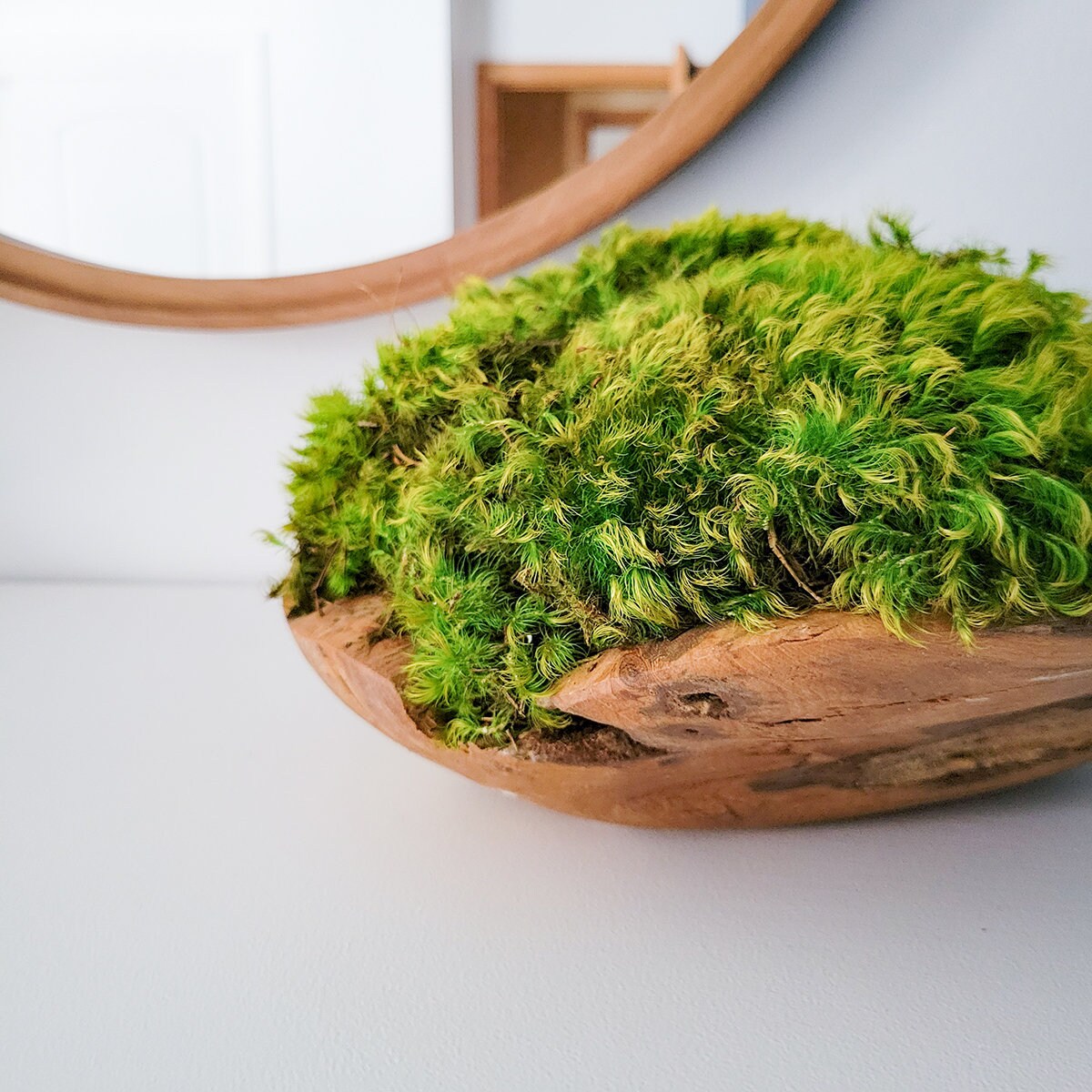 Moss Bowl Centerpiece | Wooden Bowl w preserved mood moss | Natural Decor | Coffee Table Decor |  Modern Comtempororay Decoration | Design