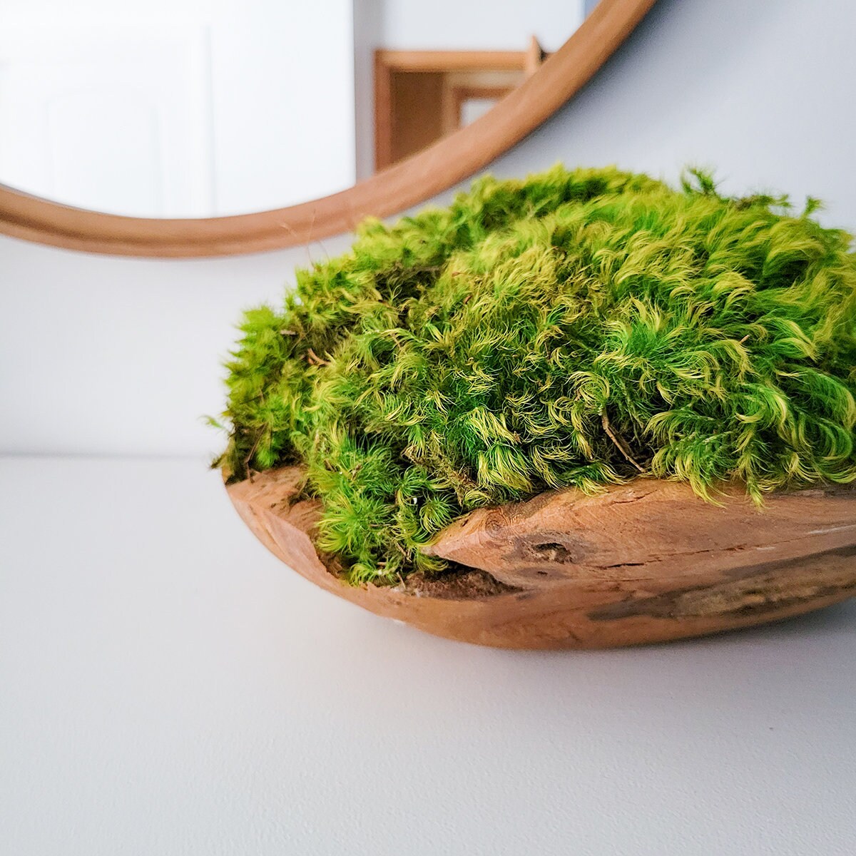 Moss Bowl Centerpiece