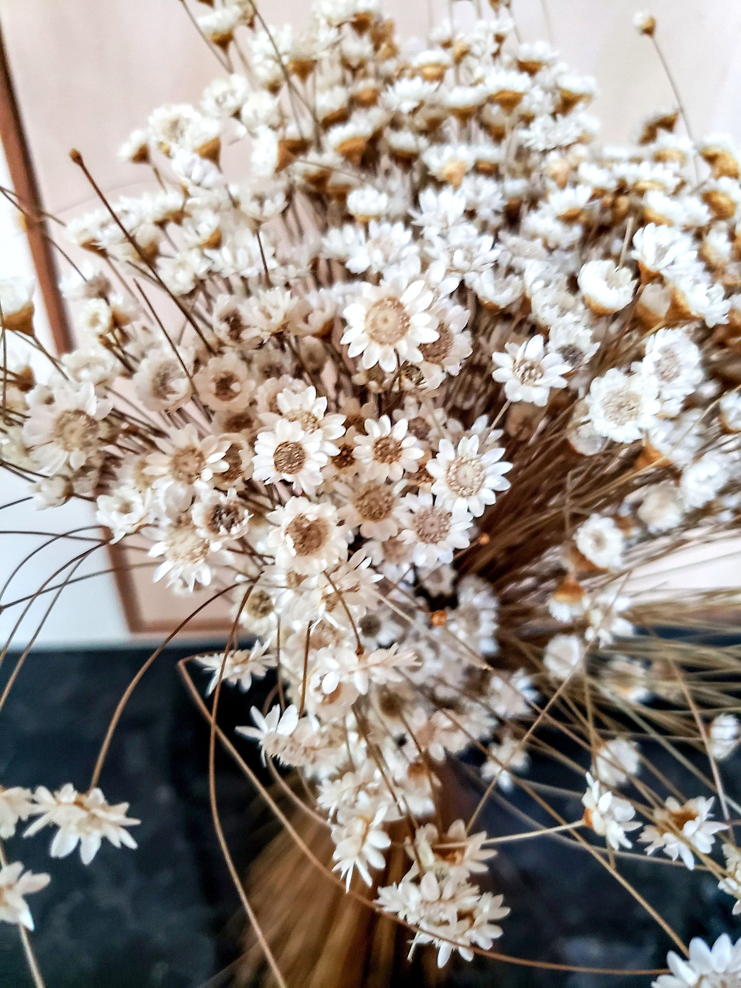 White Dried Star Flowers
