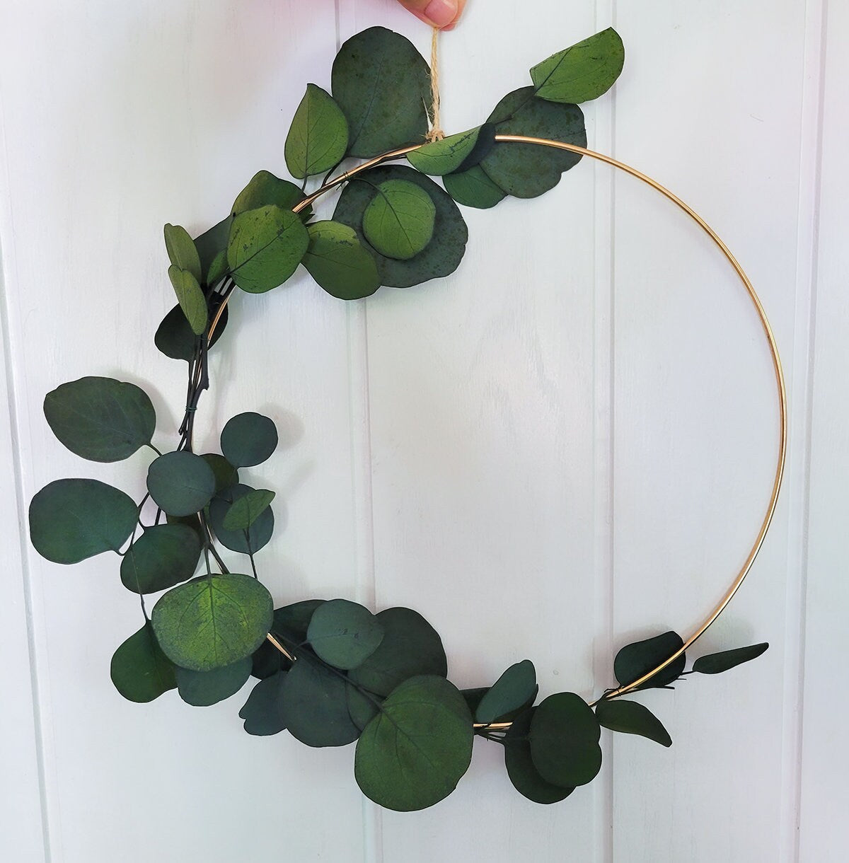 Preserved Eucalyptus Hoop | Boho Wreath | Modern Magnolia Decor | Minimalist Wreath | Year Round Wreath | Door Wreath | Housewarming Gift