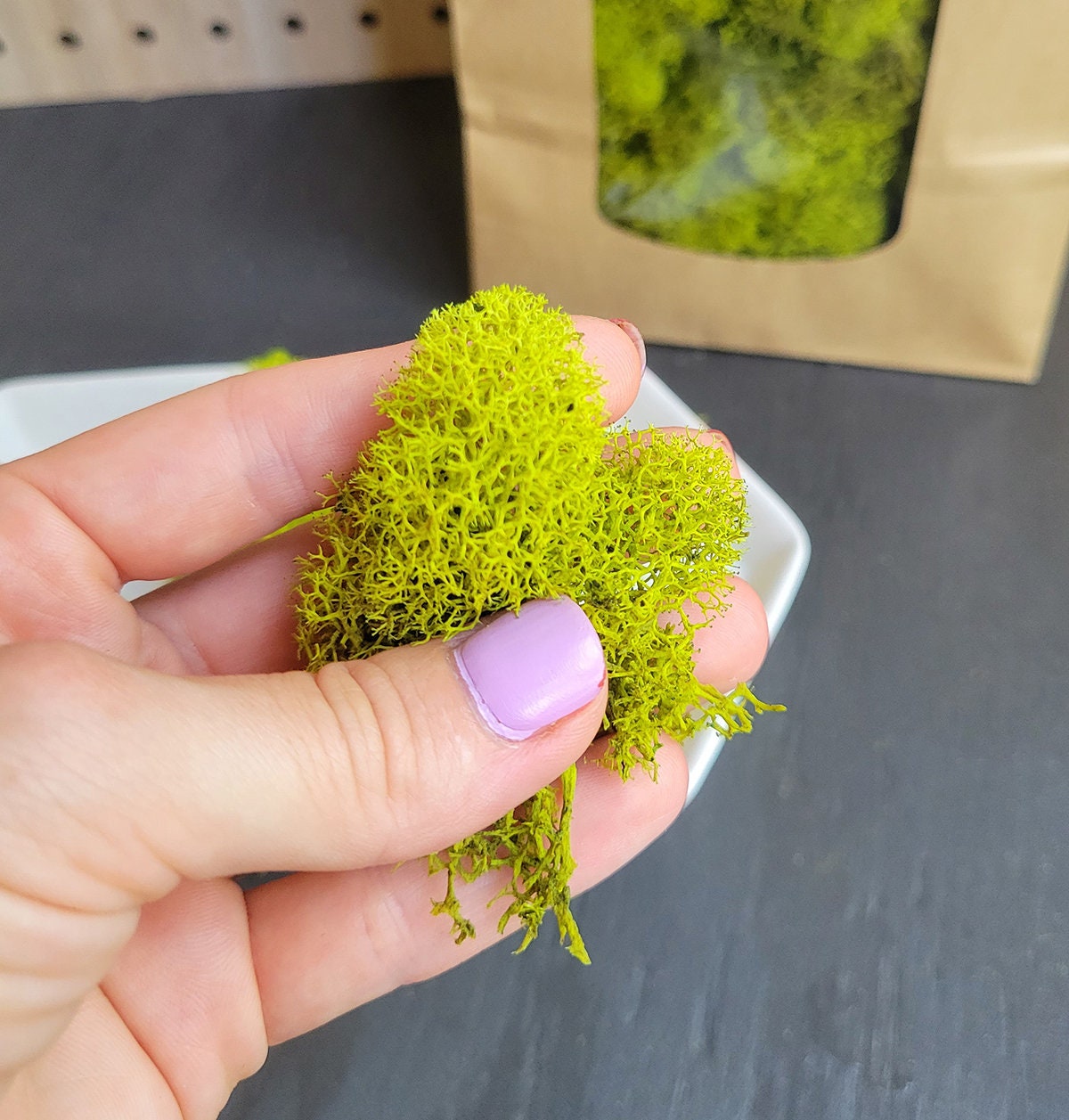 Preserved Lime Green Reindeer Moss