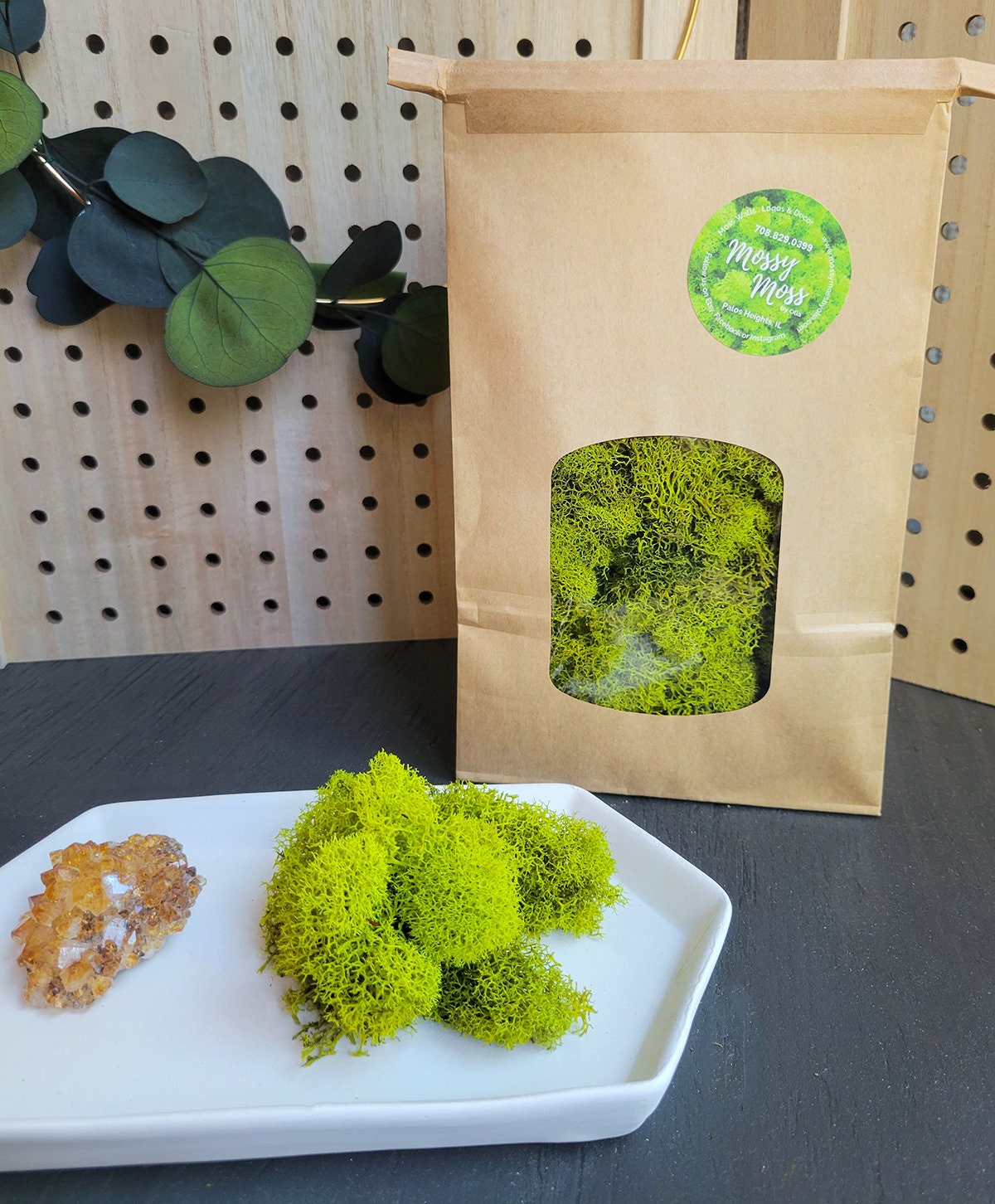 Preserved Lime Green Reindeer Moss