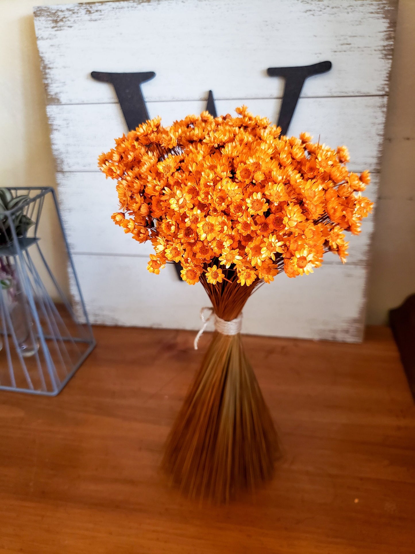 Star Flowers Dried | Fall Orange Star Flower | Tiny Mini Blush Daisy | Vase Filler | Boho Decor | Dried Florals | bright Orange | Wildflower