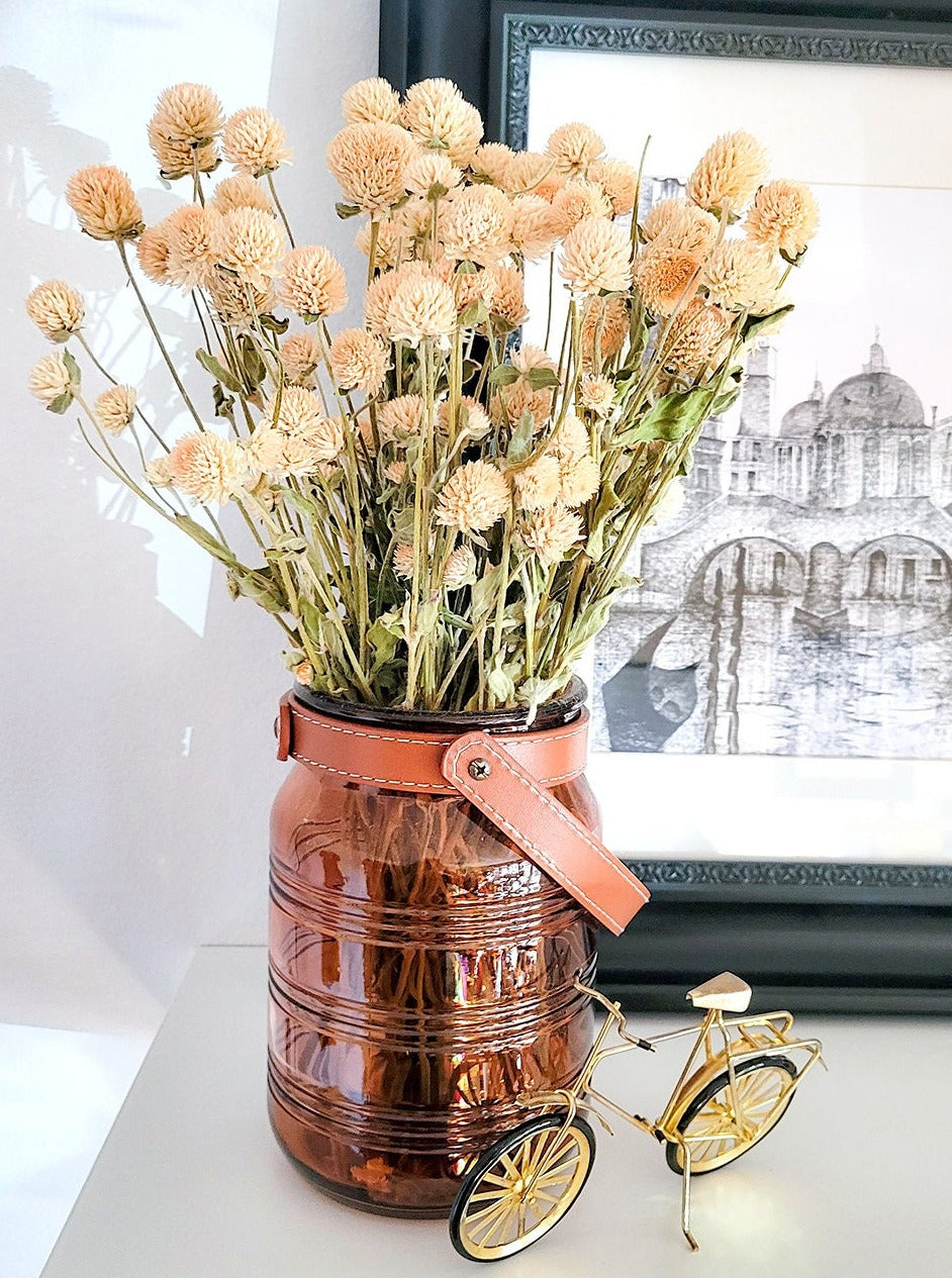 Dried Cream Blush Globe Amaranth