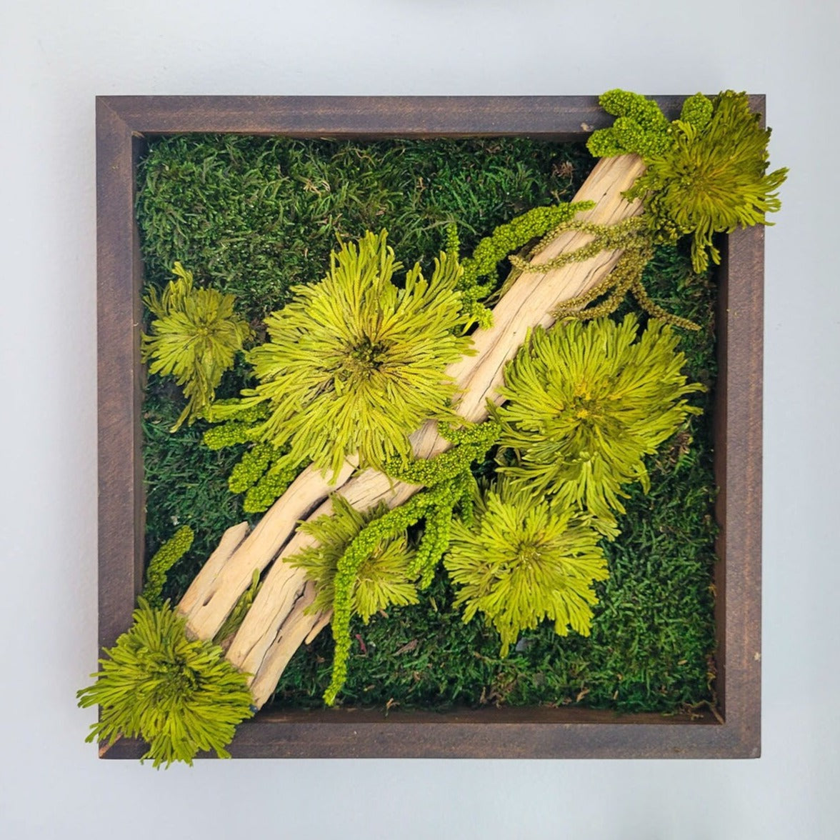 Preserved Moss Frame w Driftwood
