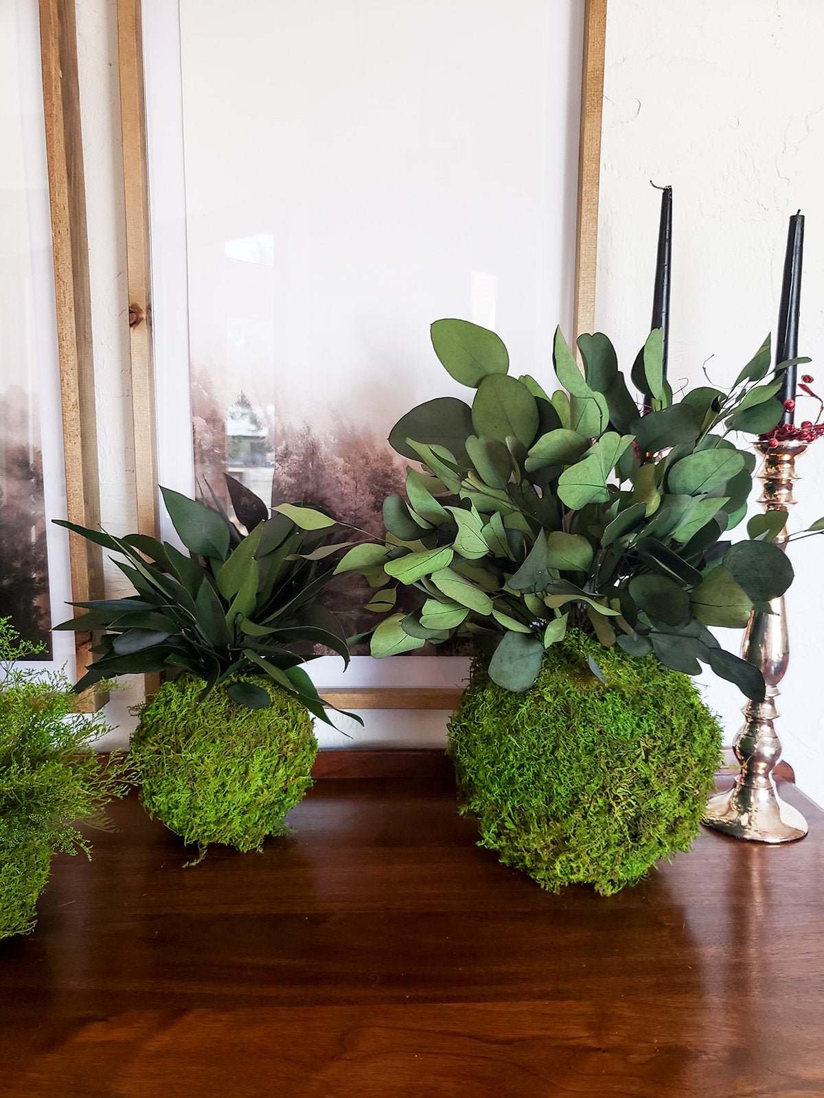 Preserved Kokedama with Real preserved Weeping Willow Eucalyptus - Mossy Moss by Olia