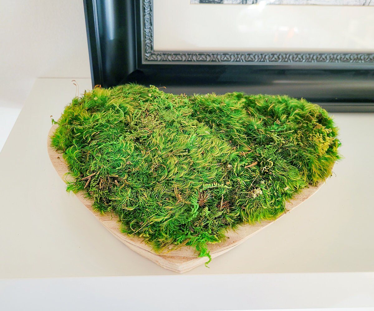 Preserved Mood Moss Heart in a wooden bowl - Mossy Moss by Olia