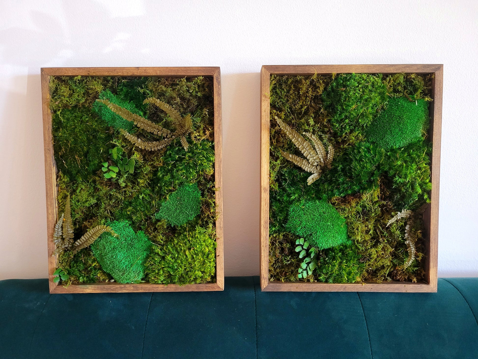 Preserved Moss Art - Mossy Moss by Olia