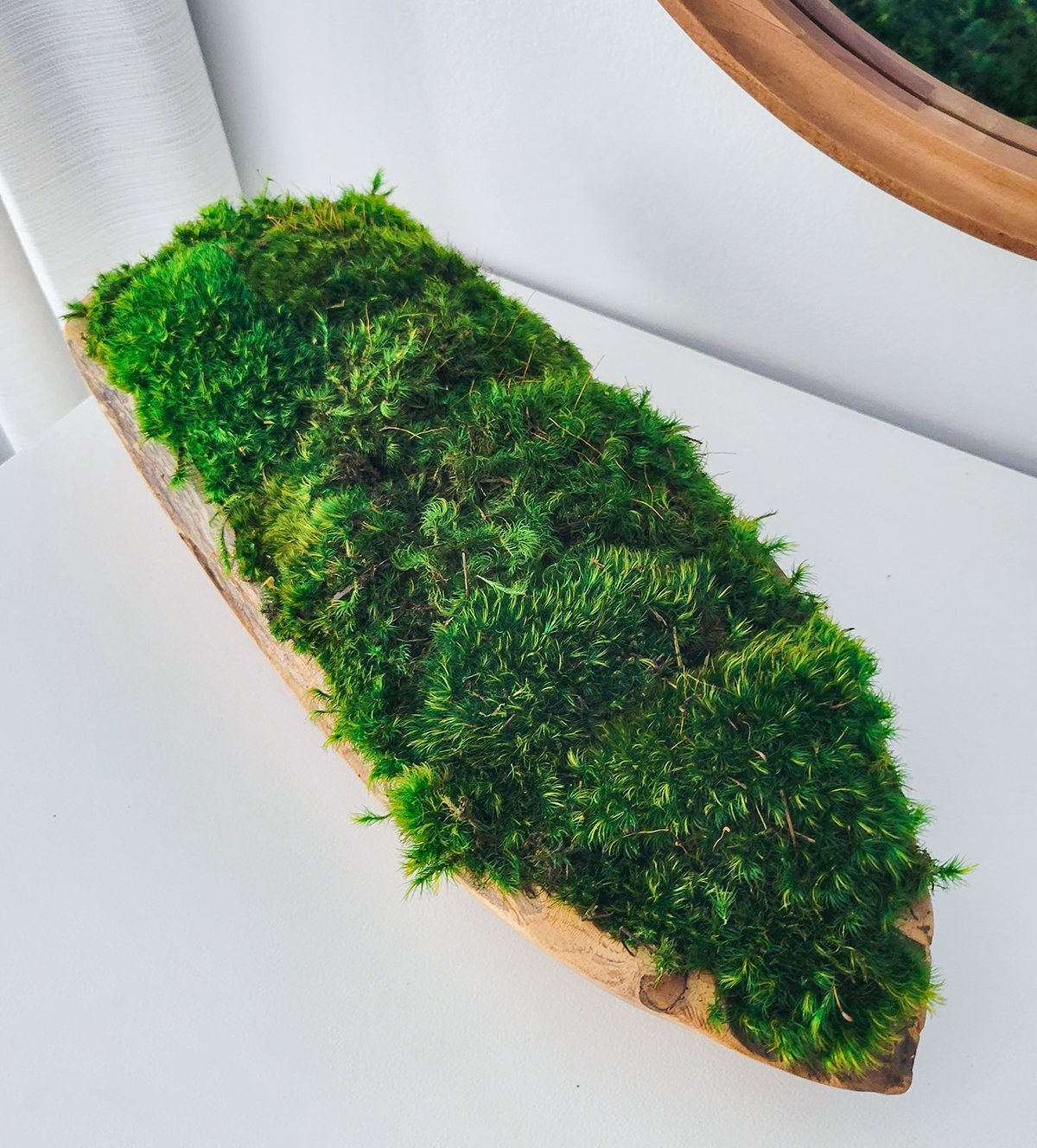 Preserved Moss Centerpiece - Mossy Moss by Olia