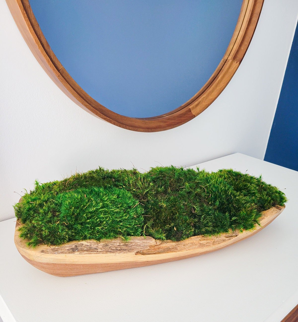 Preserved Moss Centerpiece - Mossy Moss by Olia