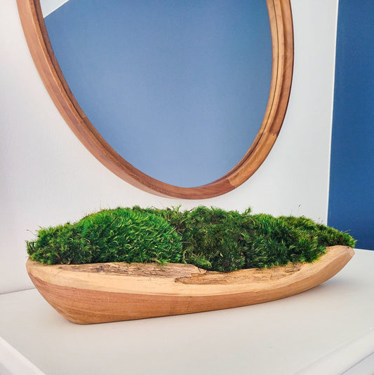 Preserved Moss Centerpiece - Mossy Moss by Olia