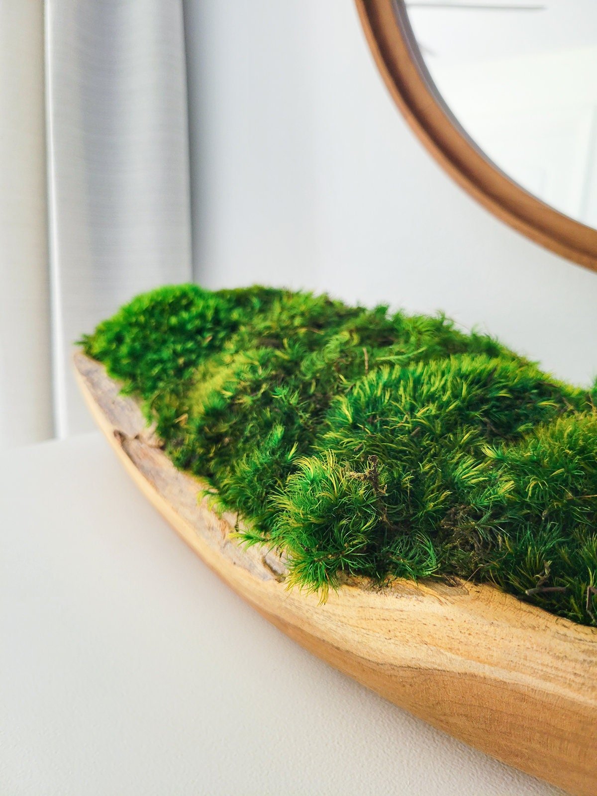 Beautiful preserved oval moss table centerpiece for sold home decoration