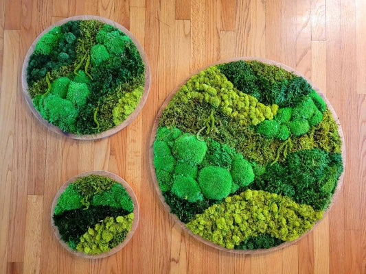 Preserved Moss Frames in a Circle Shape - Mossy Moss by Olia