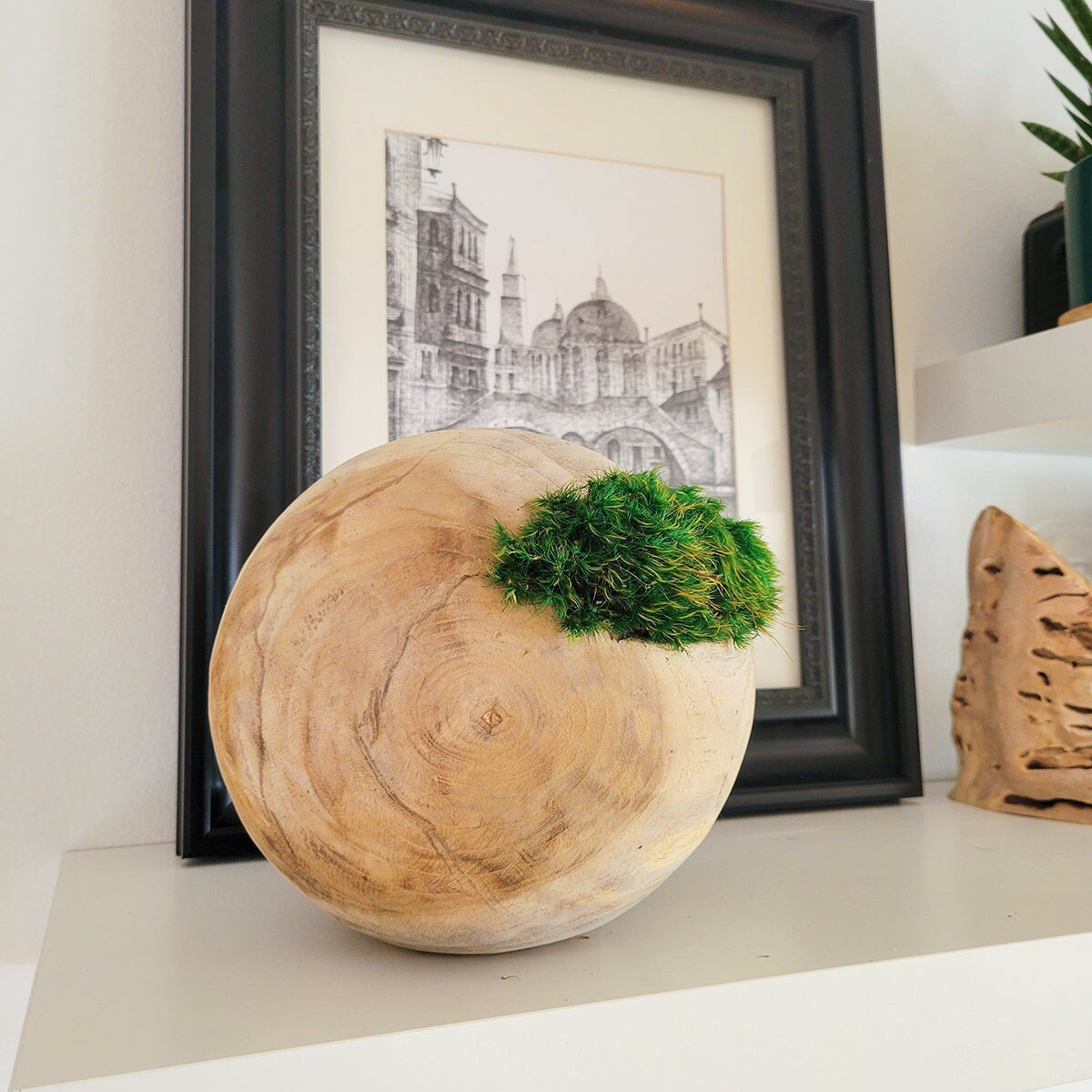 Preserved Moss hugging wooden carved orbs - Mossy Moss by Olia