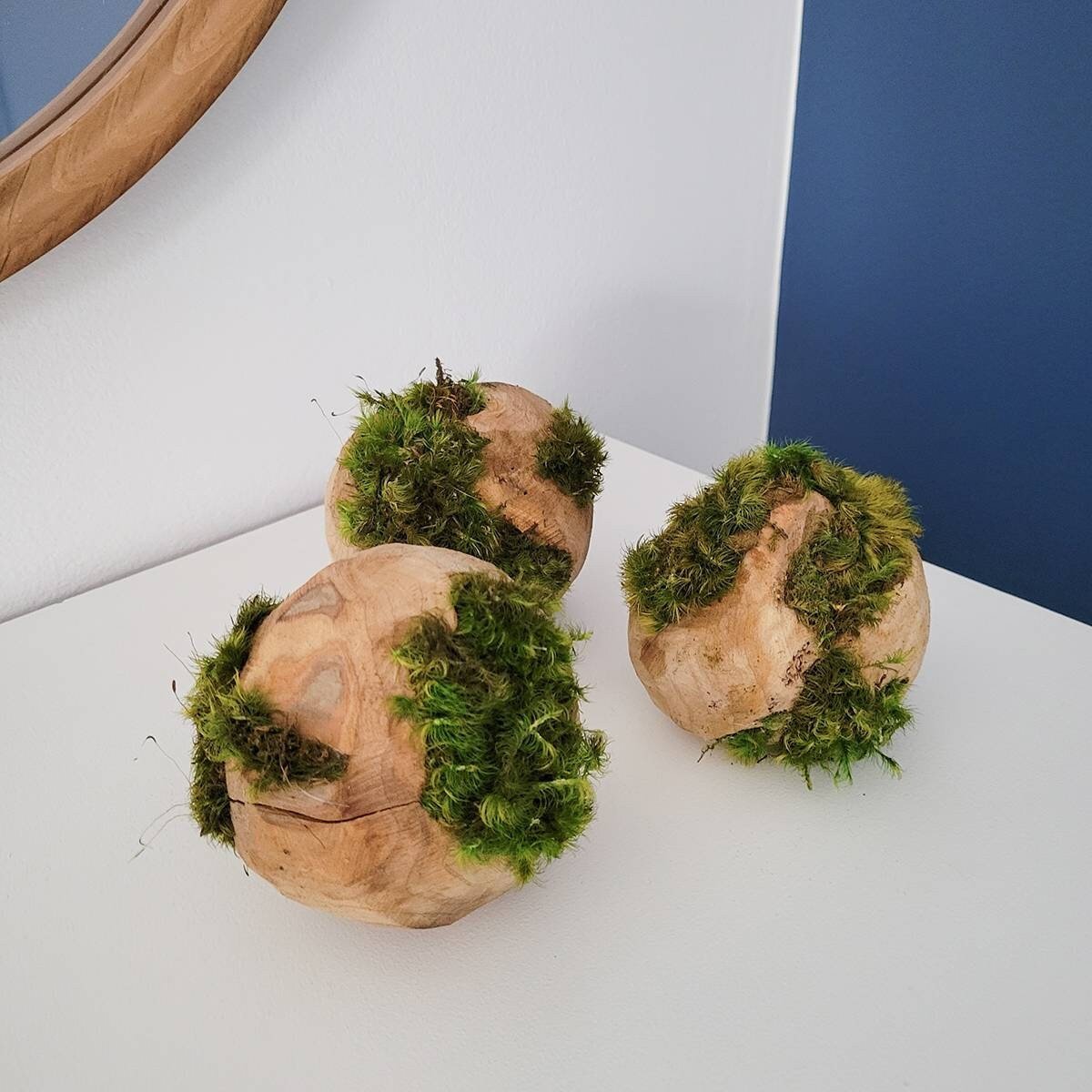 Preserved Moss hugging wooden carved orbs - Mossy Moss by Olia