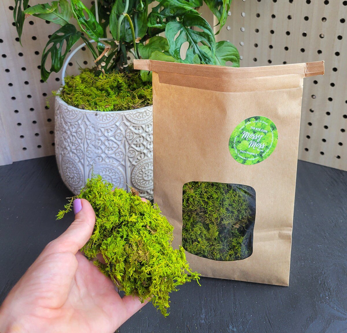 Preserved Moss Plant Topdressing - Mossy Moss by Olia