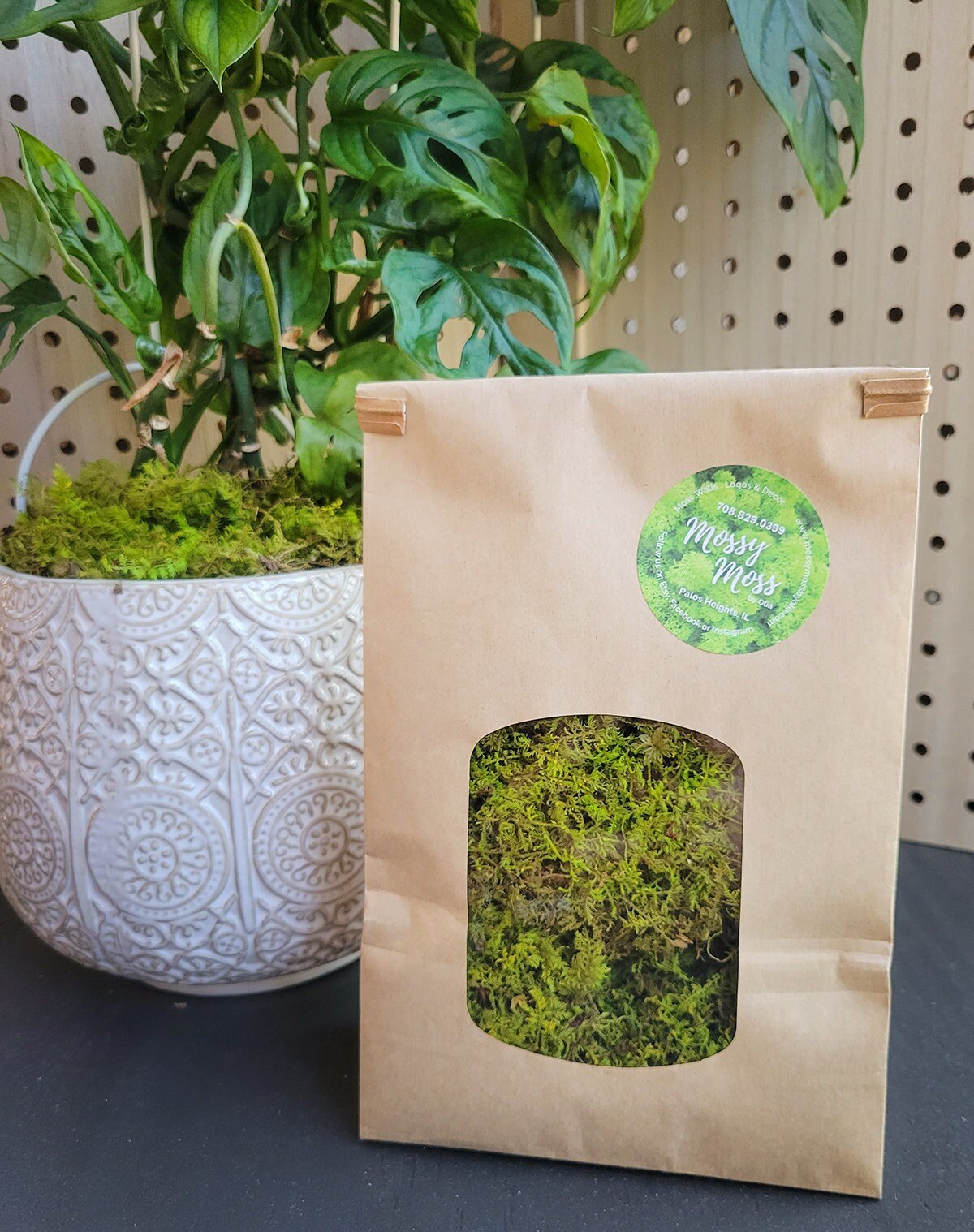 Preserved Moss Plant Topdressing - Mossy Moss by Olia