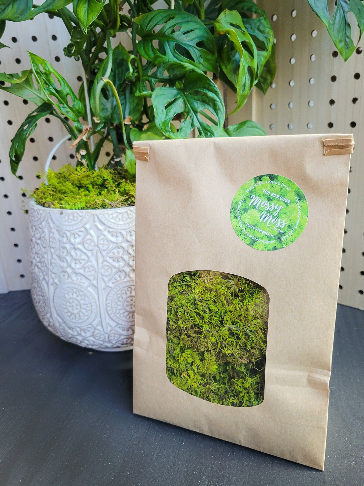 Preserved Moss Plant Topdressing - Mossy Moss by Olia