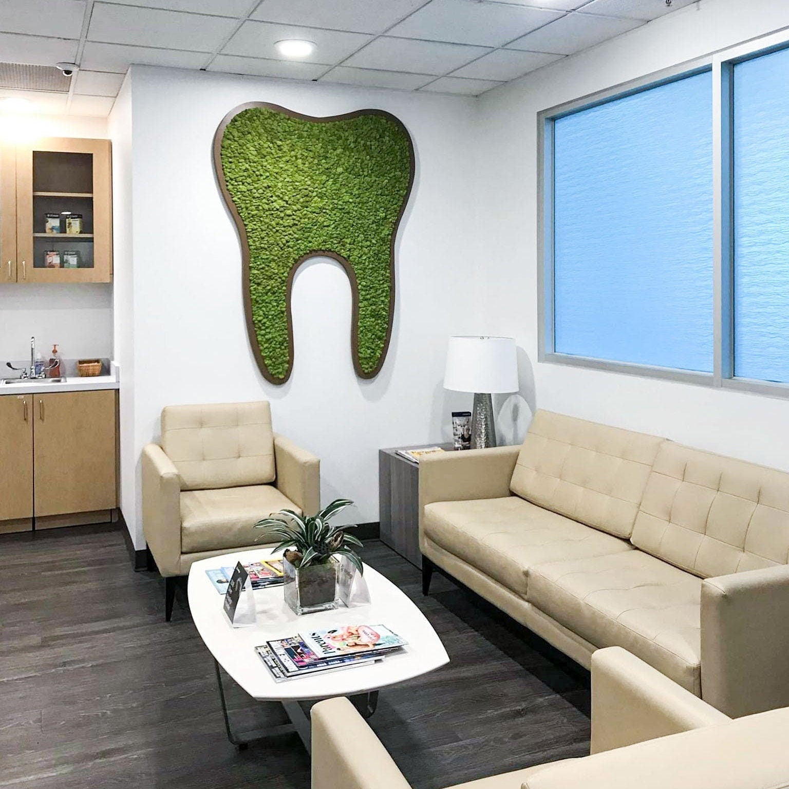 Preserved Moss Tooth for Dentist Offices - Mossy Moss by Olia
