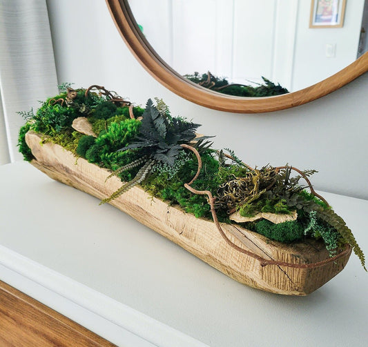 Preserved Moss & Wood Dining Table Centerpiece - Mossy Moss by Olia