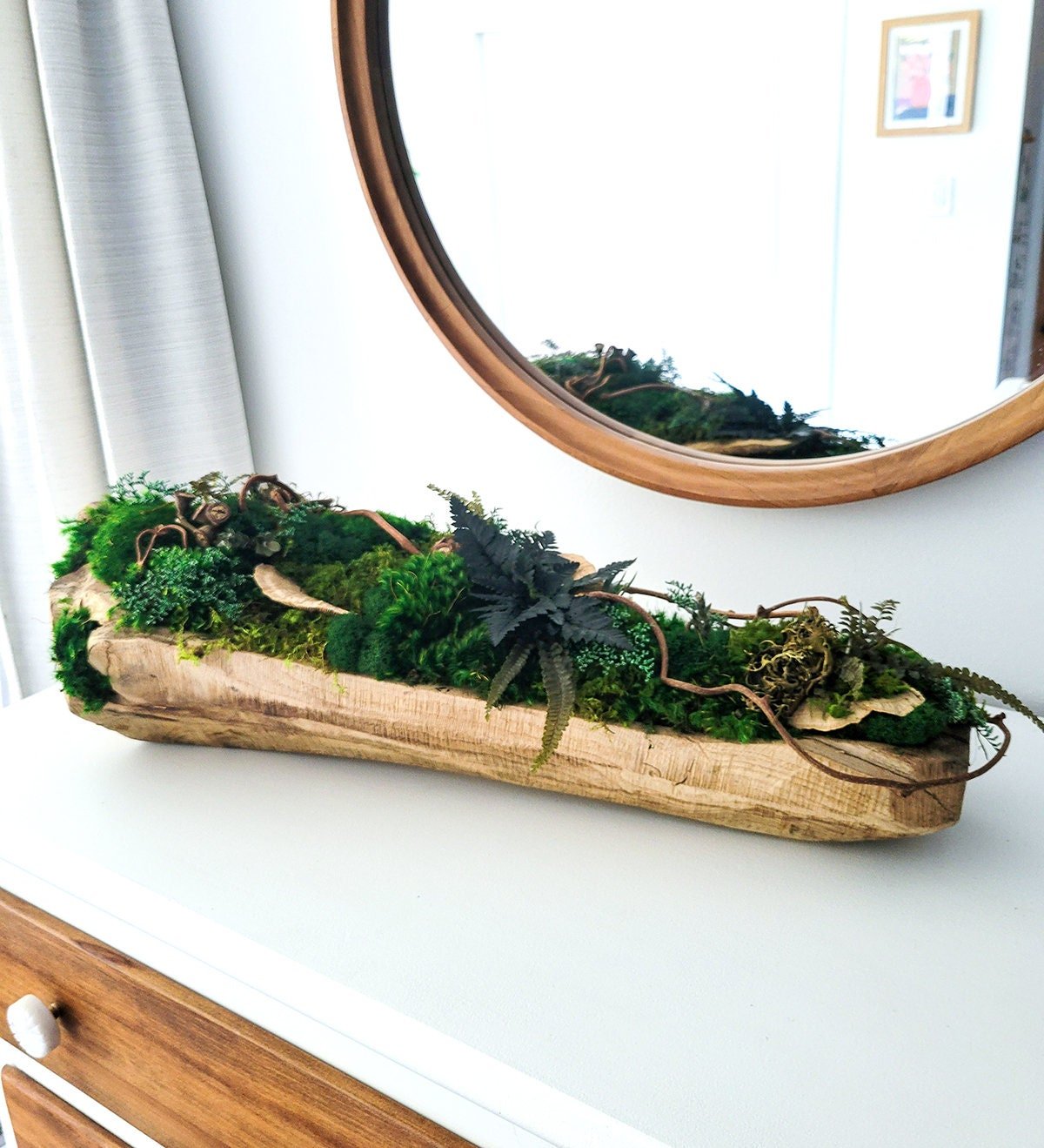 Preserved Moss & Wood Dining Table Centerpiece - Mossy Moss by Olia