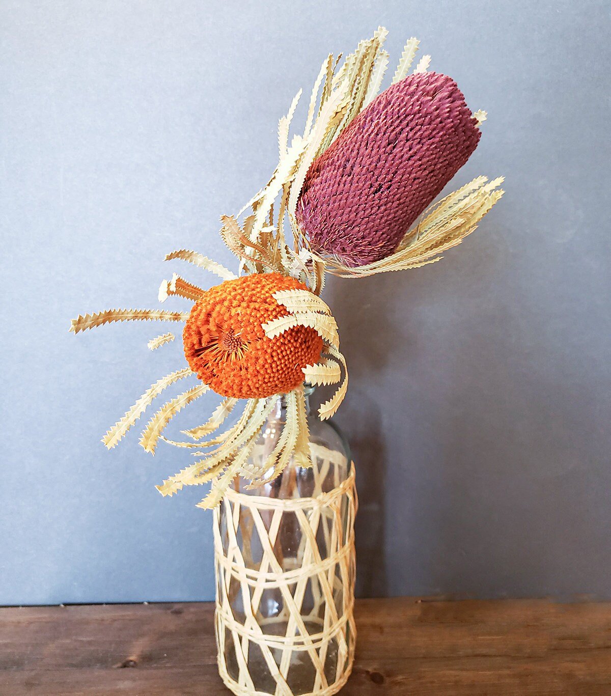 Versatile Dried Banksia Hookeriana Protea Pods - Mossy Moss by Olia
