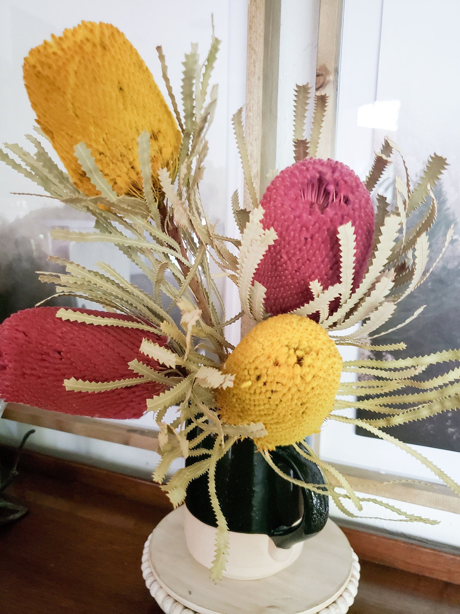 Versatile Dried Banksia Hookeriana Protea Pods - Mossy Moss by Olia